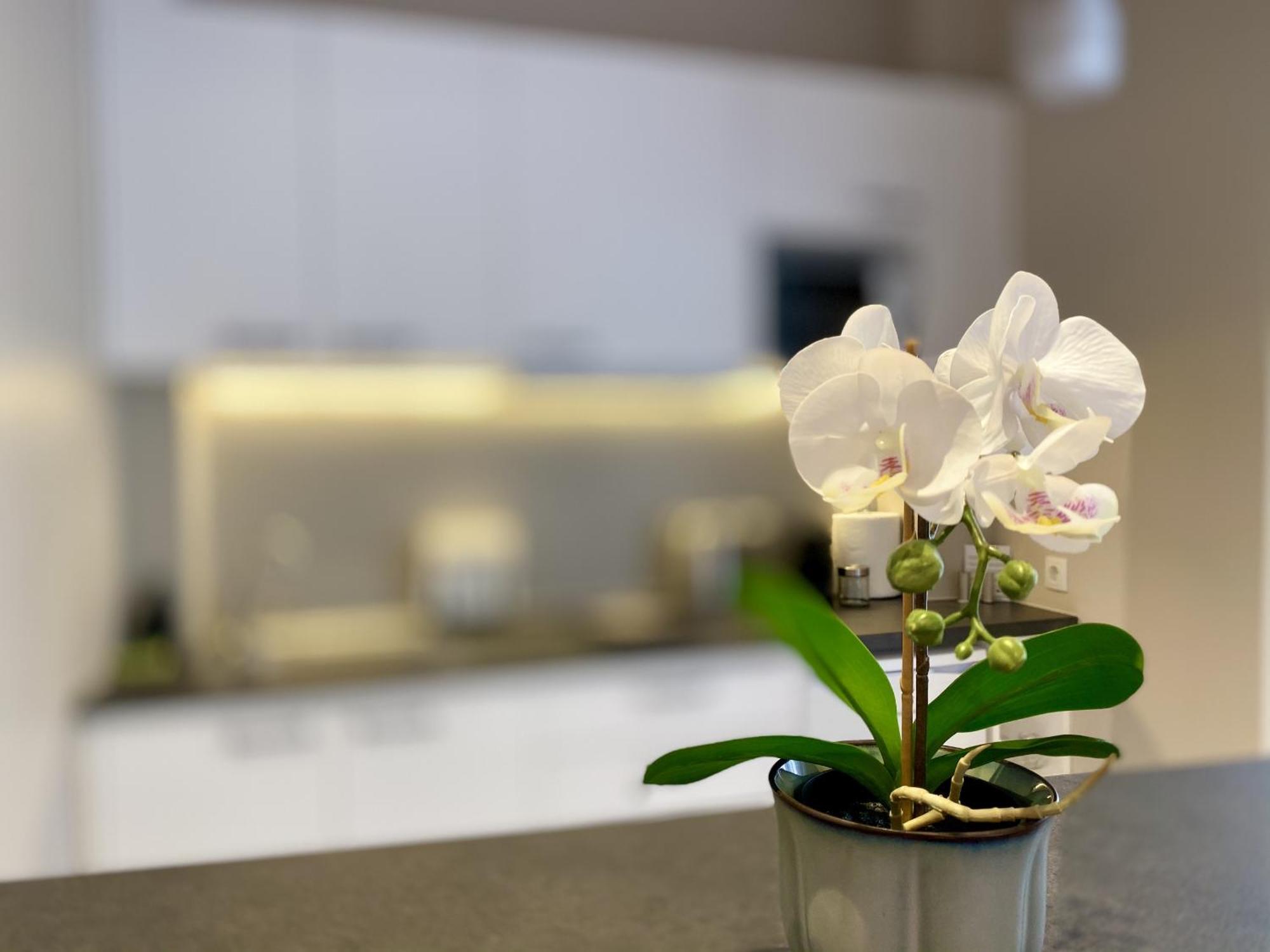 Luxury Studio In Historical Center, Syntagma-Plaka Athene Buitenkant foto